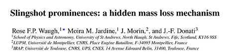 slingshot prominences: a hidden mass loss mechanism