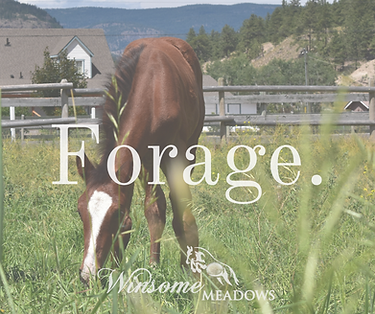 Forage.png