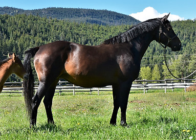 Whimsy May 22 (33).jpg