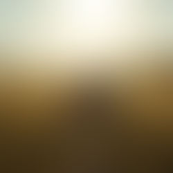 סוגי קרקעות להשקעה (2026): האמת על קרקע צהובה וחקלאית