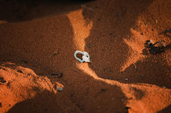 J&A Wedding Highlights (48)