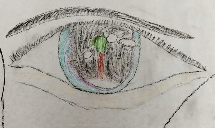 Con el volcán en el ojo | Pedagogía de Emergencia