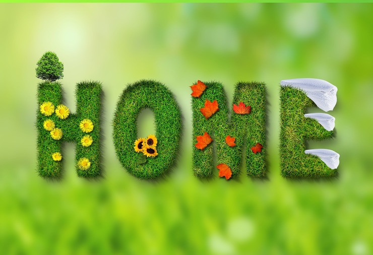 Spring-Comfreak | Pixabay