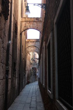 IMG_1353_edited