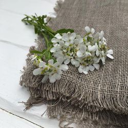 13178799_10201875163596731_6336478385627903807_n