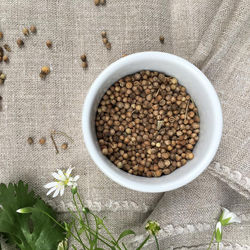 13240027_10201875169276873_8678833244966581867_n