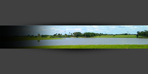 Galietach Logo Blanco (4).png