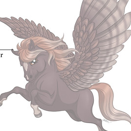 Gift Voucher pegasus art