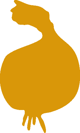 Onion ii.png