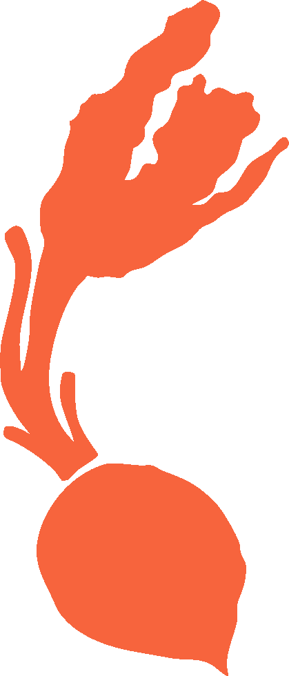 Beetroot.png
