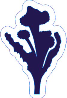 BROCCOLI STICKER.png