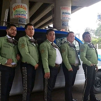 WhatsApp Image 2020-06-14 at 9.04.48 PM 