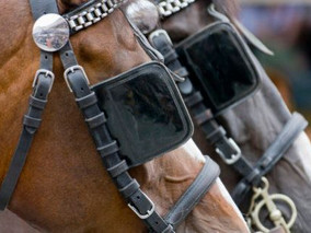 The lack of awareness with media's "Blinders" continue.