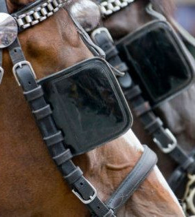 The lack of awareness with media's "Blinders" continue.