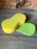 Wash Sponge