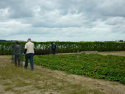 P1070257.JPG