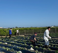 IMG_0785.JPG