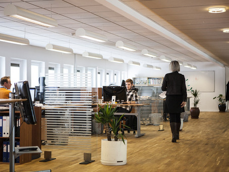 You Lose With Office Blues