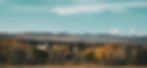 thumbnail_IMG_0269.jpg