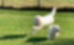 hobby_edited.jpg