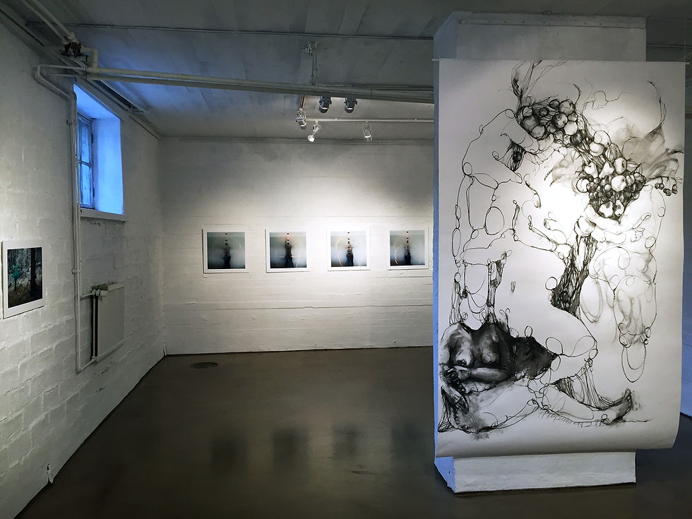 All that light, Gallery Ronga, 2016