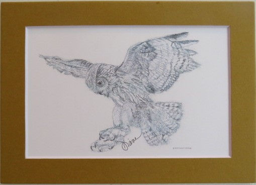 Thumbnail: Owl - Where It Began  - 5" x 7" Matted Print