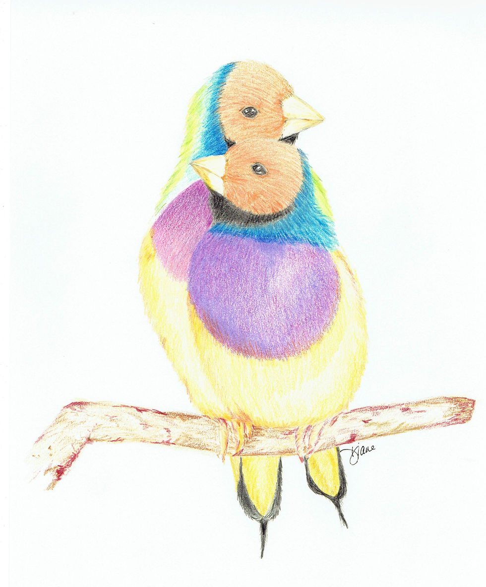 Love Birds - 5" x 7" Matted Print