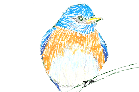 Li'l Blue Bird - 6"x8" Framed Print