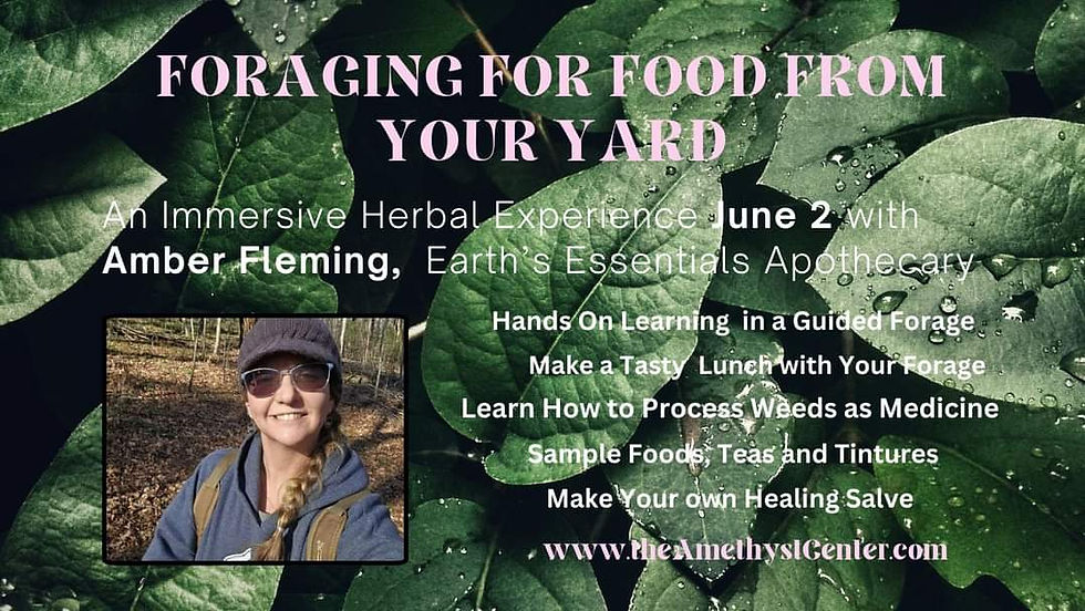 Foraging For Food From Your Yard