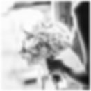 photo bouquet Xavier Decoopman Photographe mariage Auvergne Clermont Ferrand