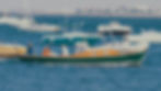 Cap Ferret Tour Bateaux
