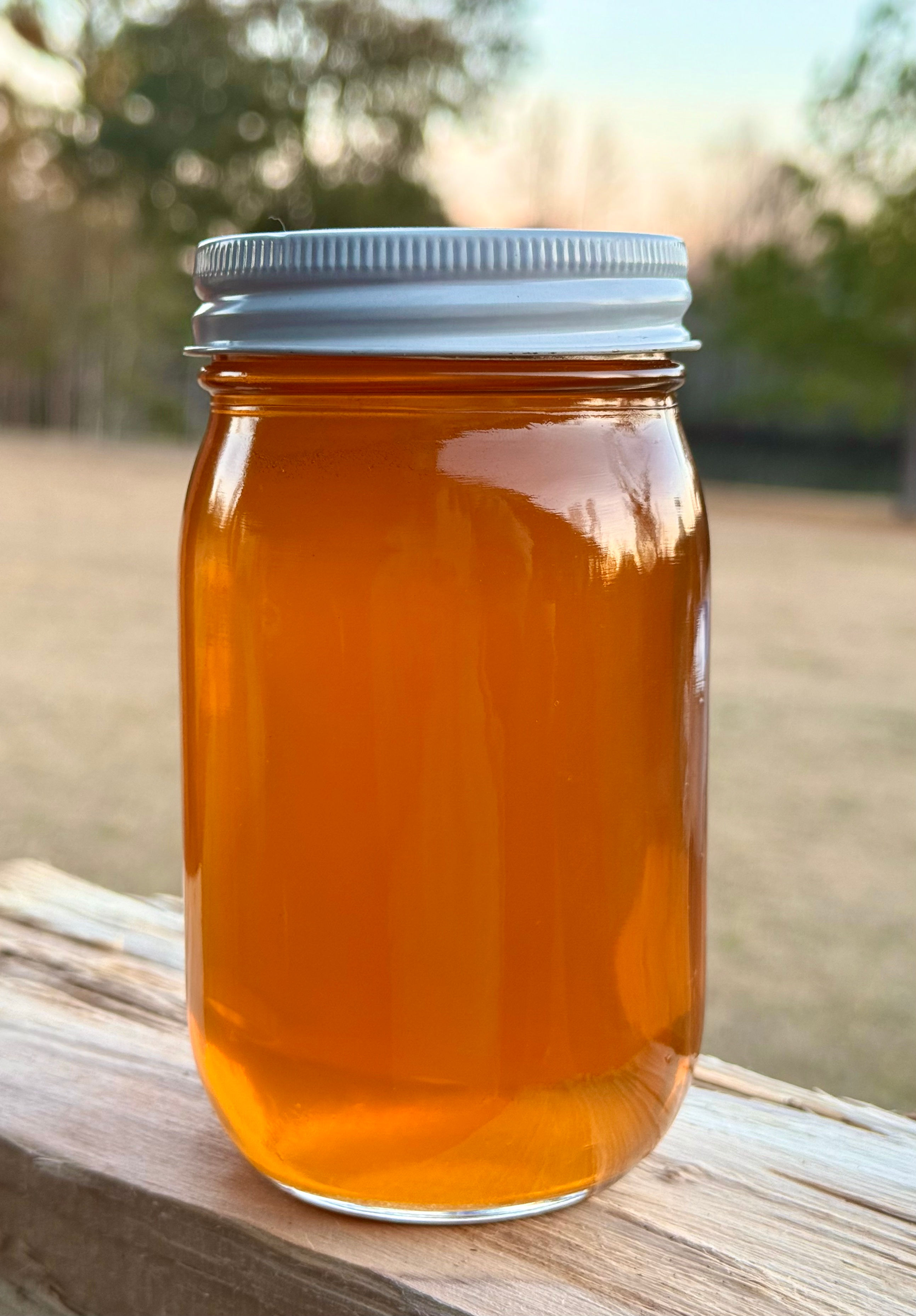 Pint Jar of Raw Honey (22 oz)