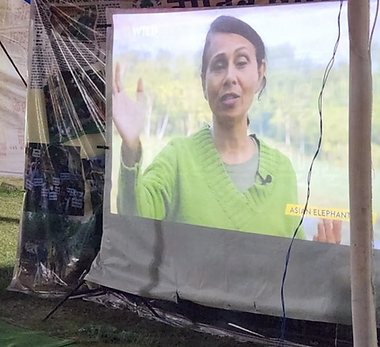 Heal the planet film fest.png