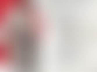 Shotokan Karate Seminar mit Fulvio Sole