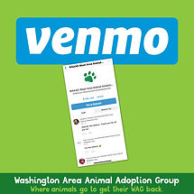 WAAAG_SocialMedia_VENMO.jpg