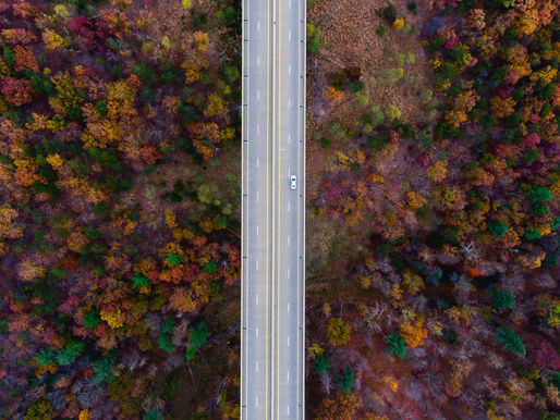 Seasonal Driving Hazards Can Turn Fall Into a Fright Fest