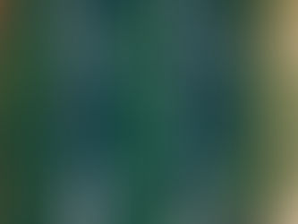 Is Matching the Speed of Traffic a Viable Defense to Speeding Tickets in North Carolina?