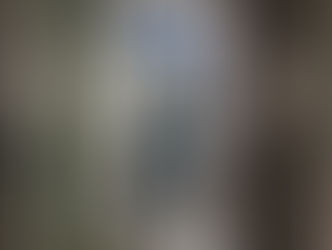 Investigation of Injuries of Unknown Origin: What Nursing Homes Don't Want You to Know