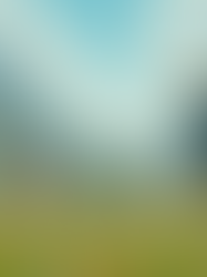 Pokémon Insights: Strategies for Competitive Battling