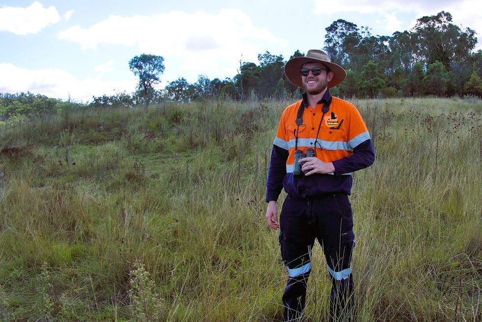 What is a Project Ecologist? And When Do You Need One?