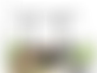 What is a BDAR Waiver? (And How It Can Save Your SSD)