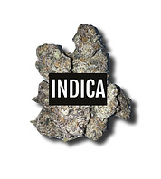 indica_edited.jpg
