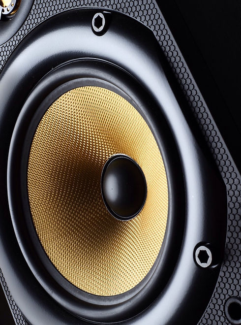 Stereo Speaker