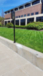 green grass