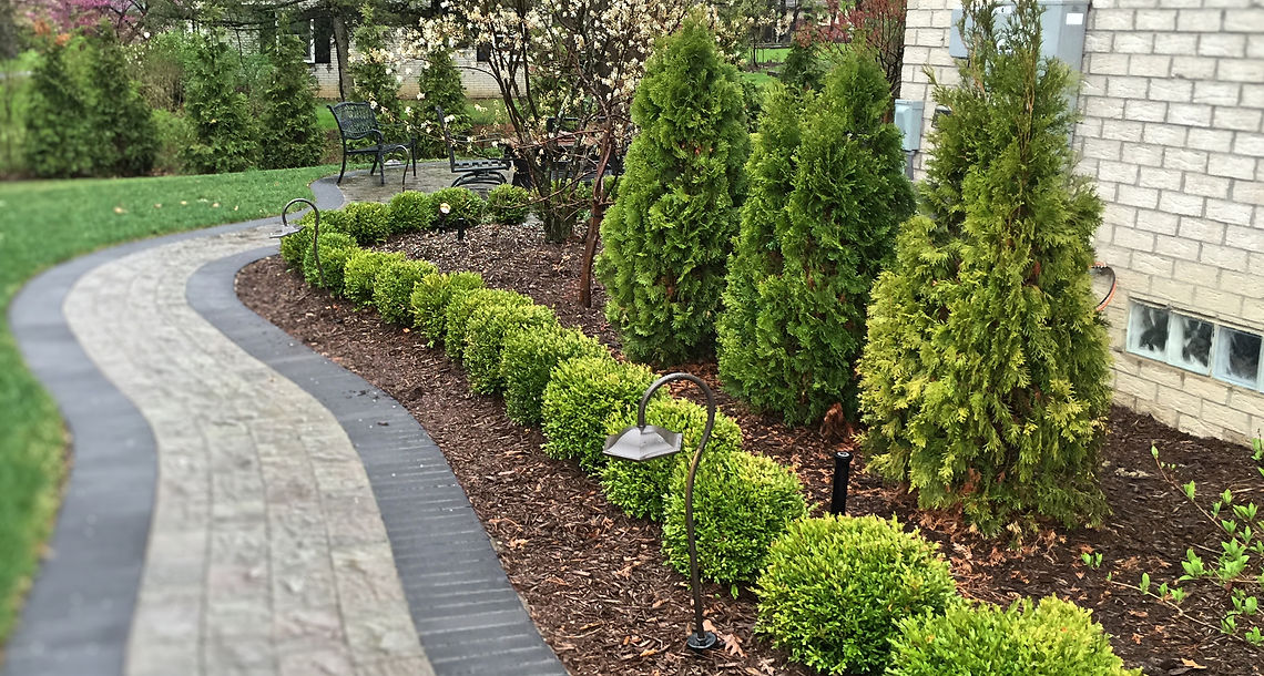 trees - shrubs - mulch - brick walkway