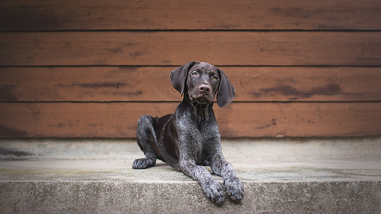 johannalepp-tierfotografiethueringen--15.jpg