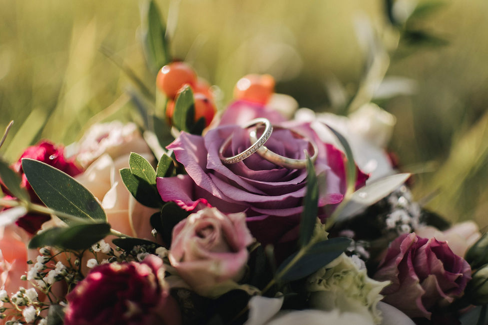 johannalepp-tierfotografiethueringen--35.jpg