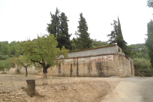 Cementerio ¿de quién?