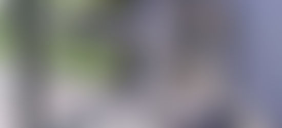 Solución al problema ¿QUE PROBLEMA?