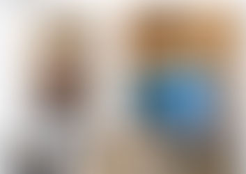 ¿La fallida escuela de escalada va a abrir? (ACTUALIZACIÓN)